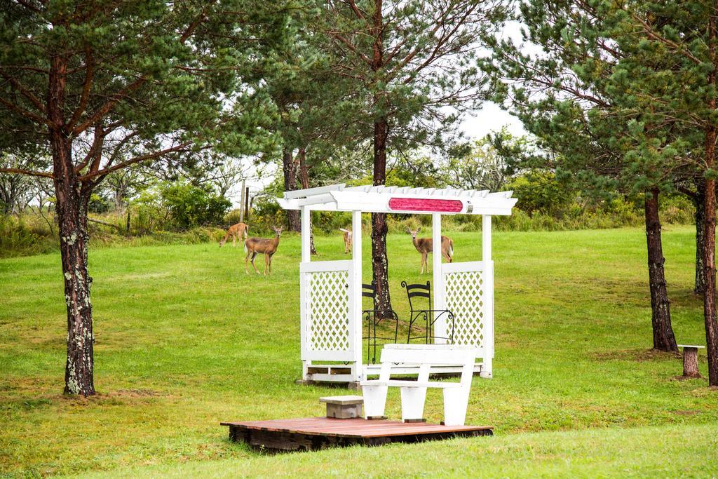 Wheelhouse Motel Lunenburg Exteriör bild