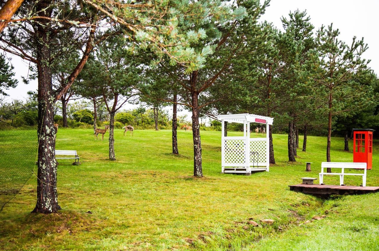 Wheelhouse Motel Lunenburg Exteriör bild